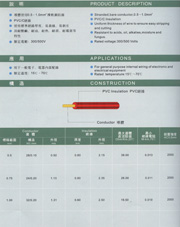 IEC 06(RV)